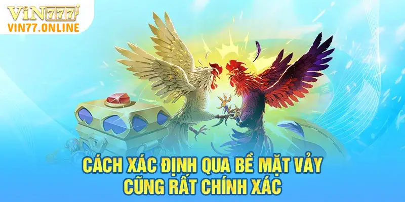 Cách xác định qua bề mặt vảy cũng rất chính xác